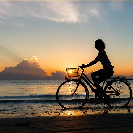 An Der Haffkueste Heimat Hafen Zirchow