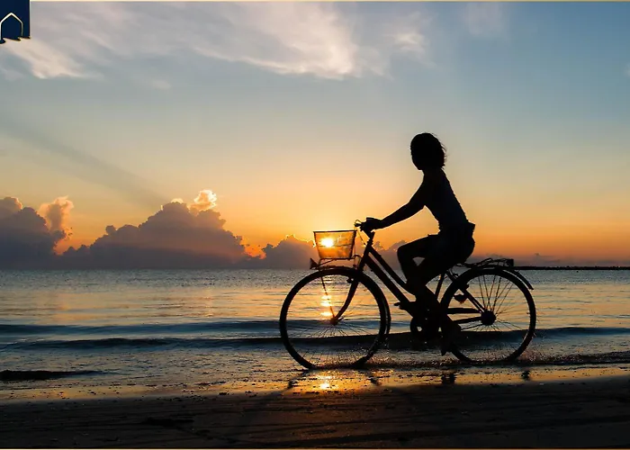 An Der Haffkueste Heimat Hafen Zirchow